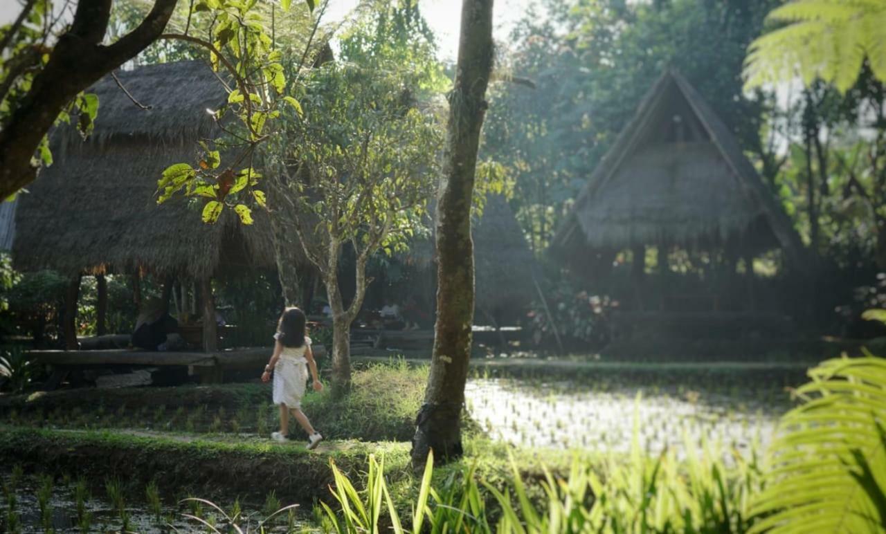 Sapulidi Cafe, Gallery & Resort Lembang Ngoại thất bức ảnh